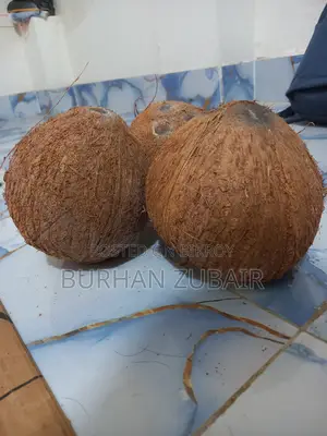 Big Coconut