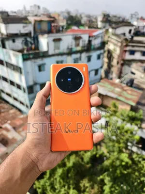 Vivo X100 256GB Orange
