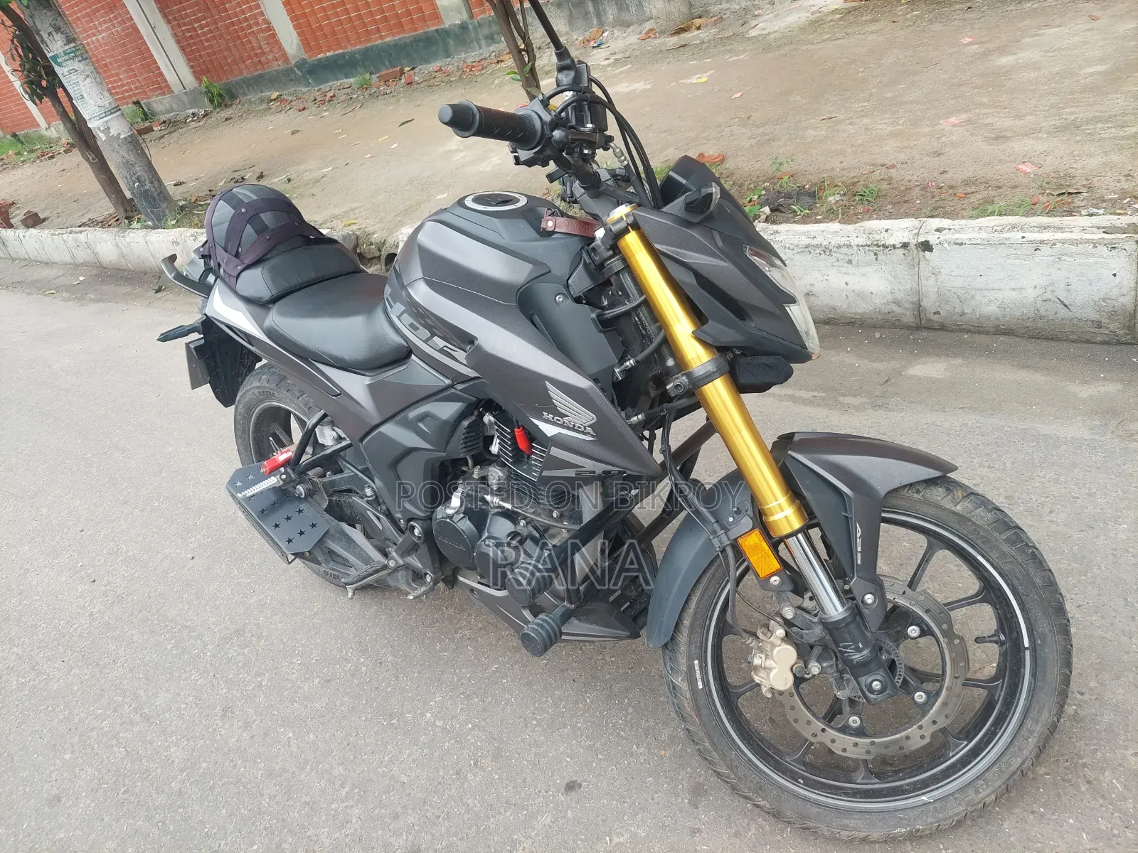 Honda Hornet 2025 Gray