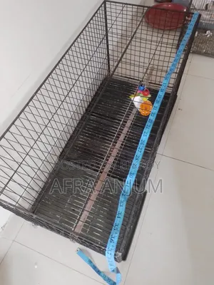 Large Bird Cage