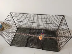 Large Bird Cage