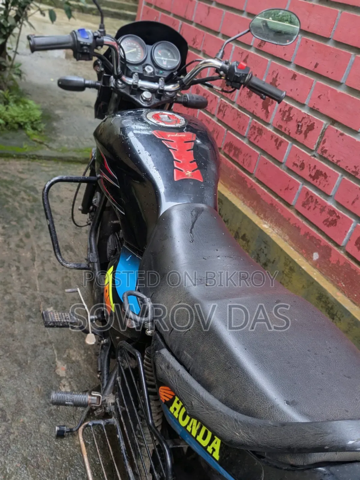 Walton Cruize 2010 Black