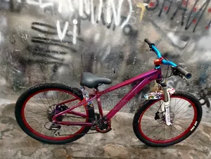 Dartmoor 26" Dirt Jump Bike