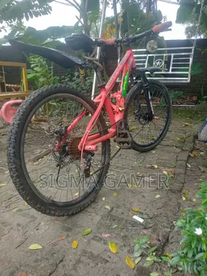 Veloce Junior Bicycle With 7 gears