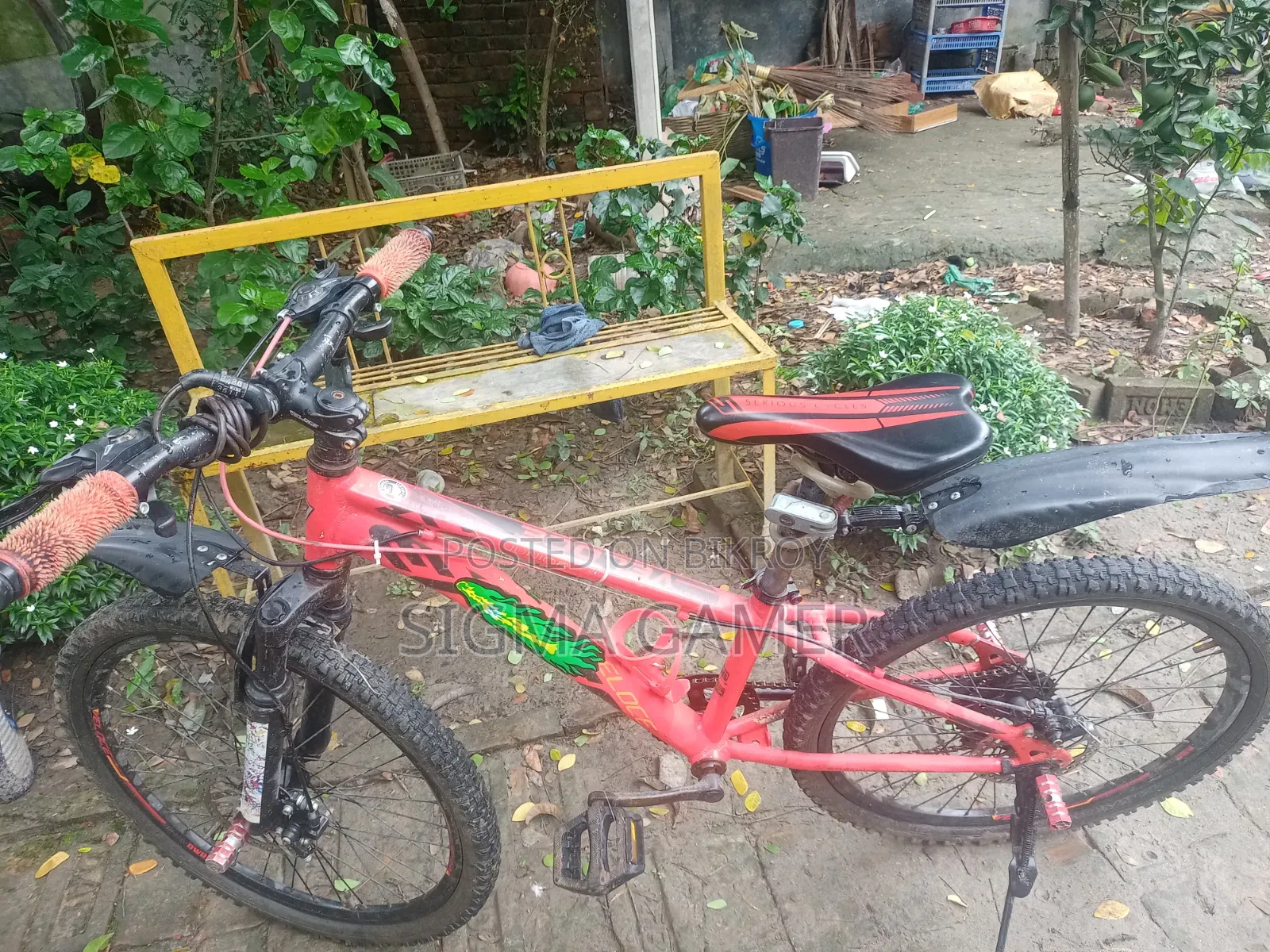 Veloce Junior Bicycle With 7 gears