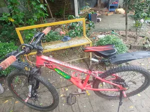 Veloce Junior Bicycle With 7 gears