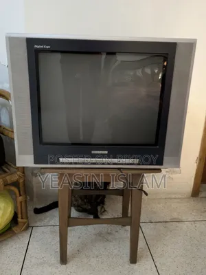 Walton 24' Television