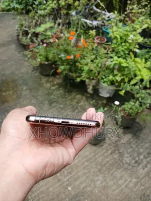 অ্যাপল আইফোন এক্সএস ম্যাক্স ২৫৬ জিবি গোল্ড