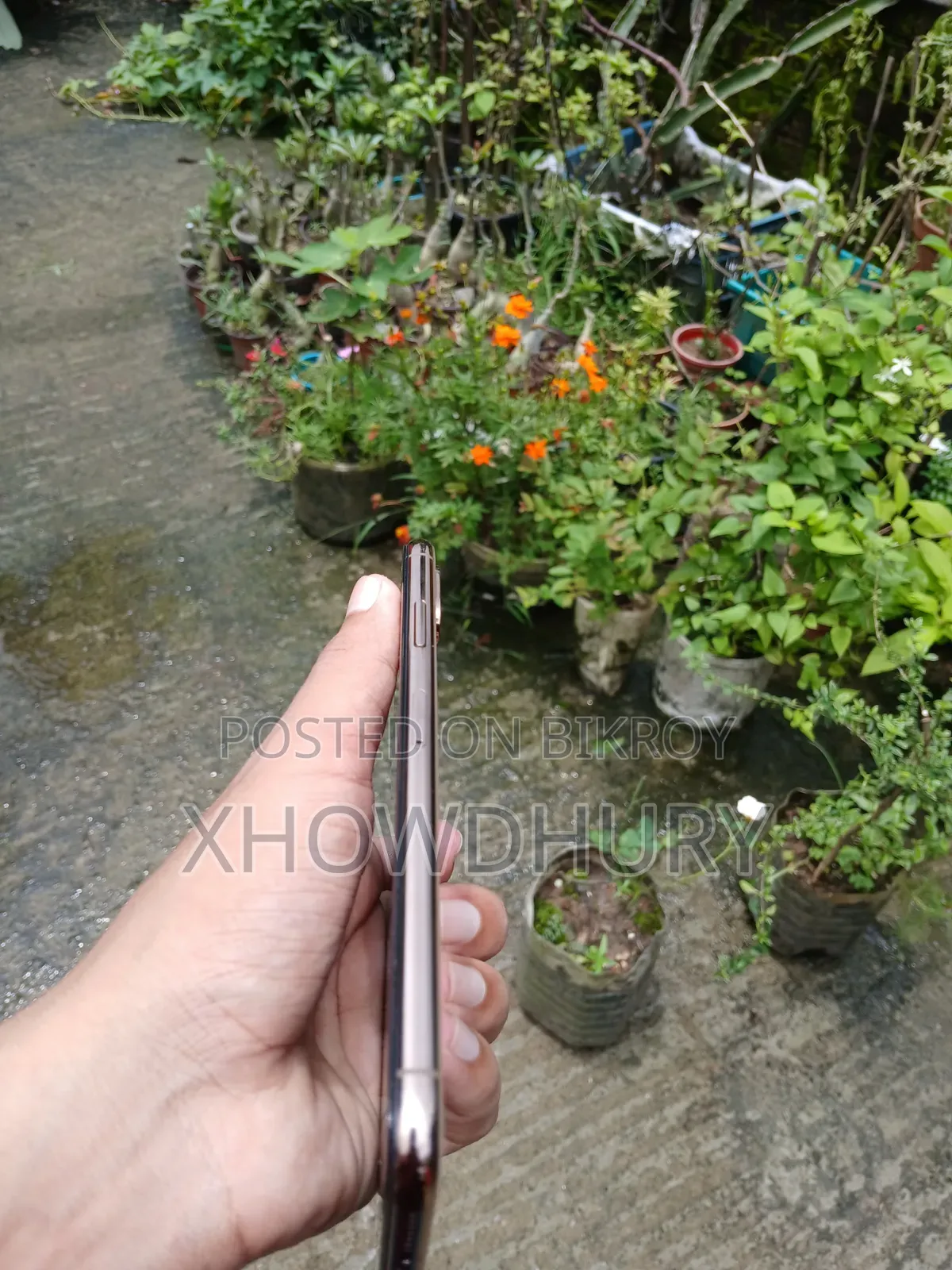 অ্যাপল আইফোন এক্সএস ম্যাক্স ২৫৬ জিবি গোল্ড