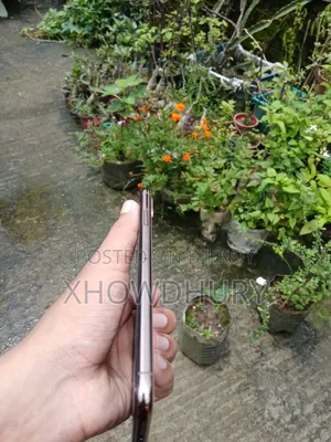 অ্যাপল আইফোন এক্সএস ম্যাক্স ২৫৬ জিবি গোল্ড