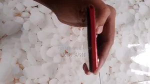 অপ্পো এফ১৫ ২৫৬ জিবি রেড