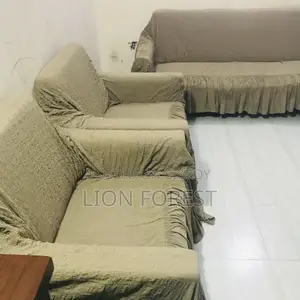 হোম এসেনশিয়াল আইটেমস (সোফা)