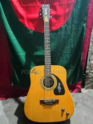 গিভসন অ্যাকোস্টিক ইলেকট্রিক গিটার