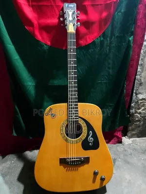 গিভসন অ্যাকোস্টিক ইলেকট্রিক গিটার