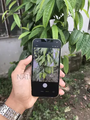 Apple iPhone 12 Pro 128 GB Gold