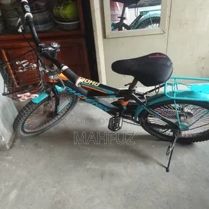 20" Phoenix Bicycle