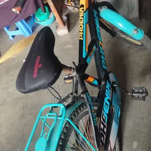 20" Phoenix Bicycle