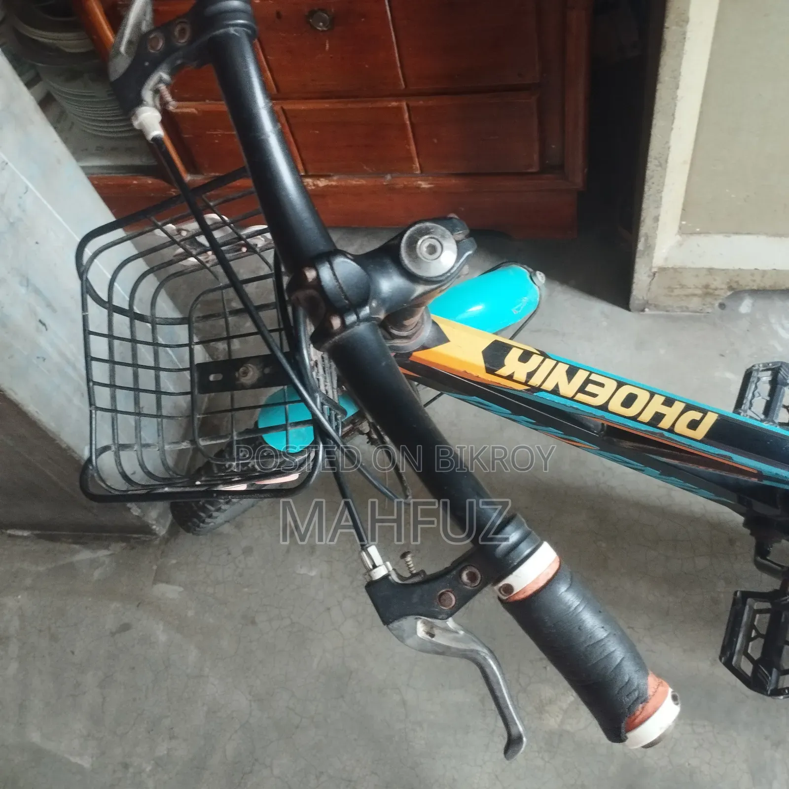 20" Phoenix Bicycle