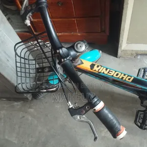 20" Phoenix Bicycle
