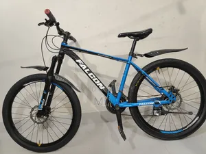 Falcon Firebird Cycle