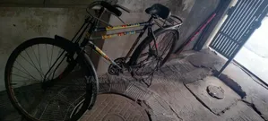 সাইকেল