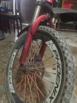 I will sell this bicycle.
