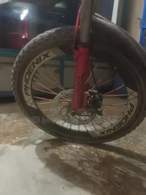 I will sell this bicycle.