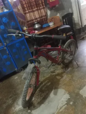 I will sell this bicycle.