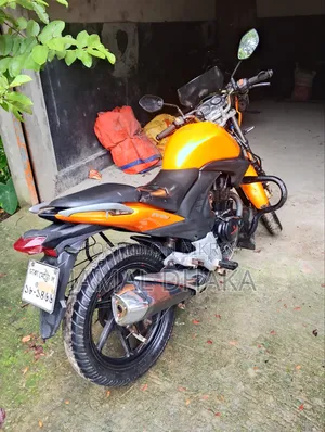Pegasus Evo 150R 2021 Gold
