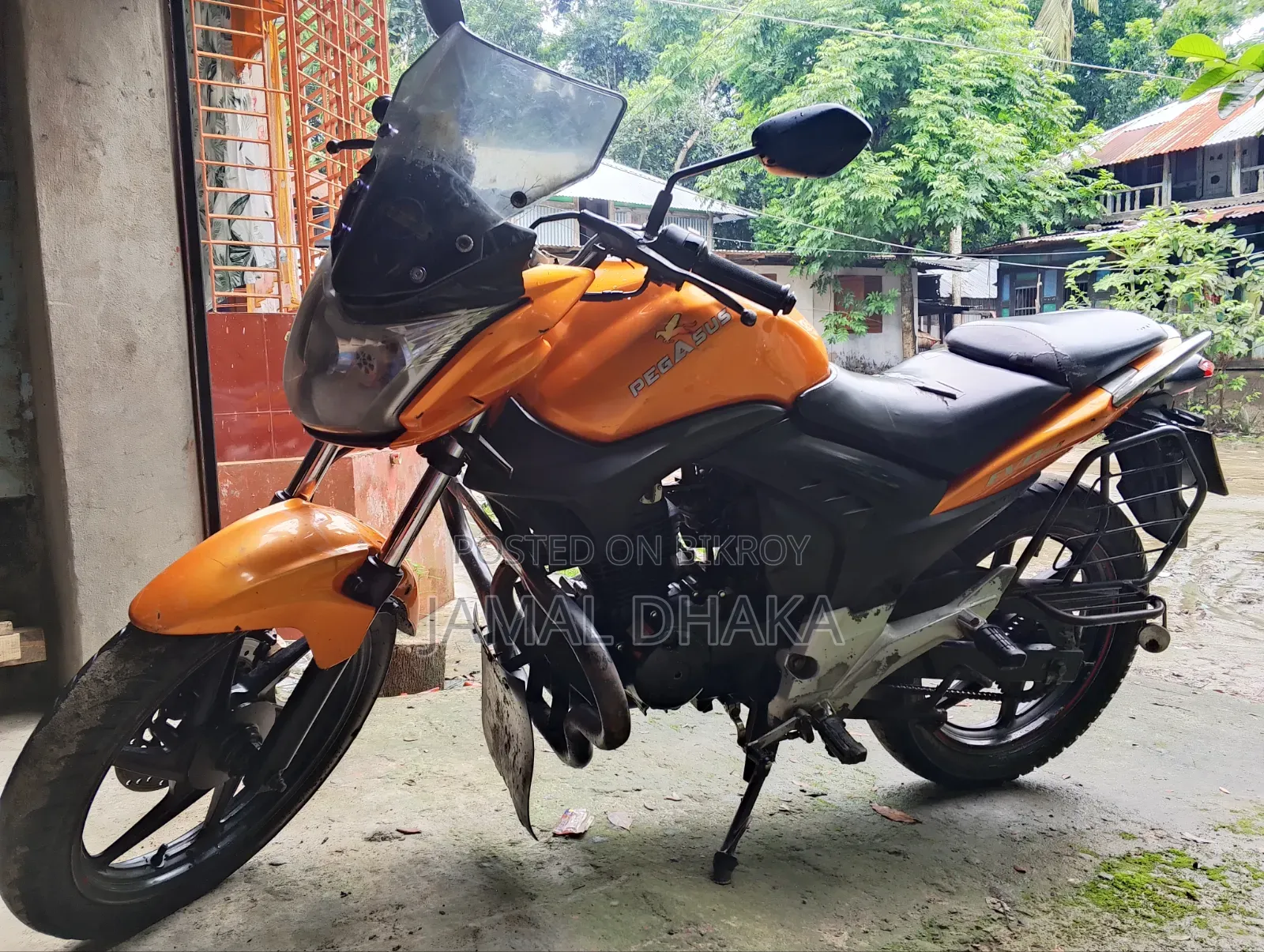 Pegasus Evo 150R 2021 Gold