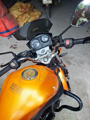 Pegasus Evo 150R 2021 Gold