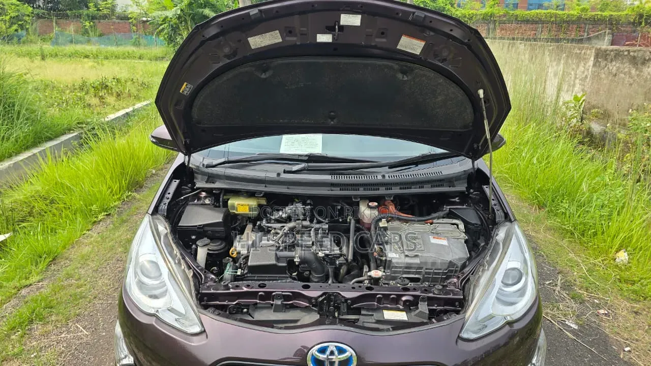Toyota Aqua 2017 Brown