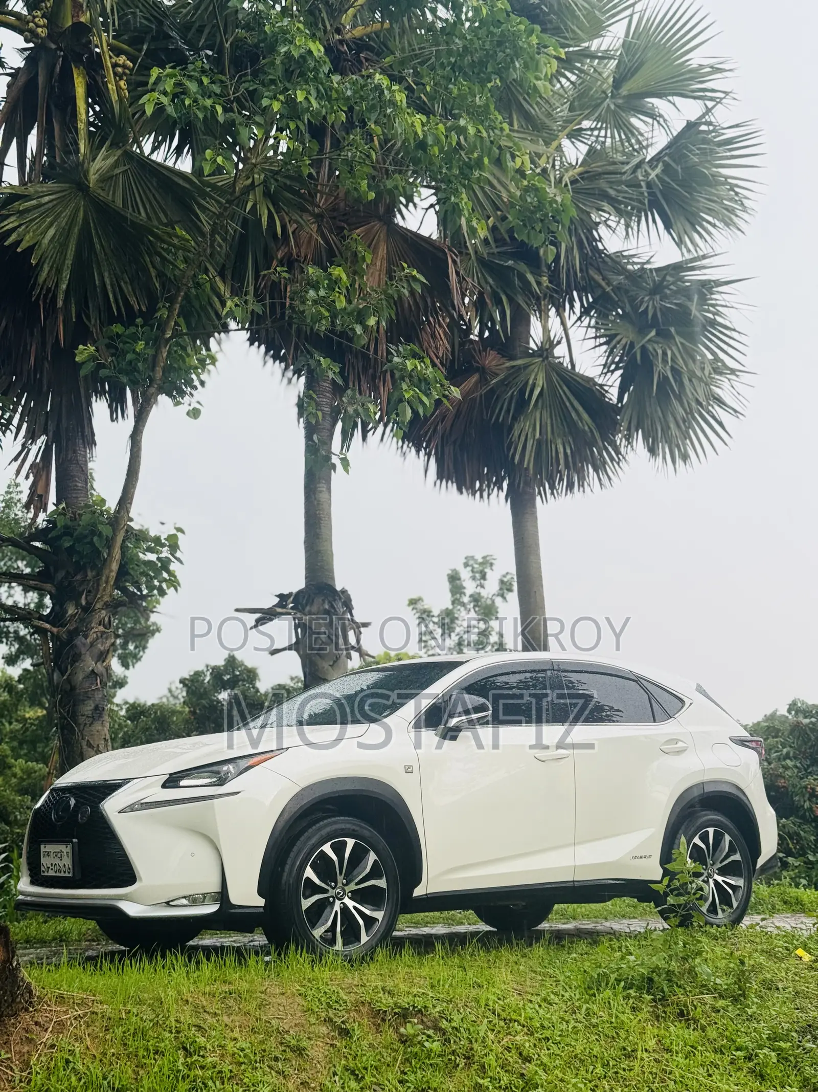 লেক্সাস NX 300h FWD ২০১৪ পার্ল