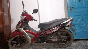 রানার কাইট + ১১০ ২০২৪ রেড