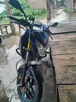 Bajaj Pulsar NS 160 2020 Blue