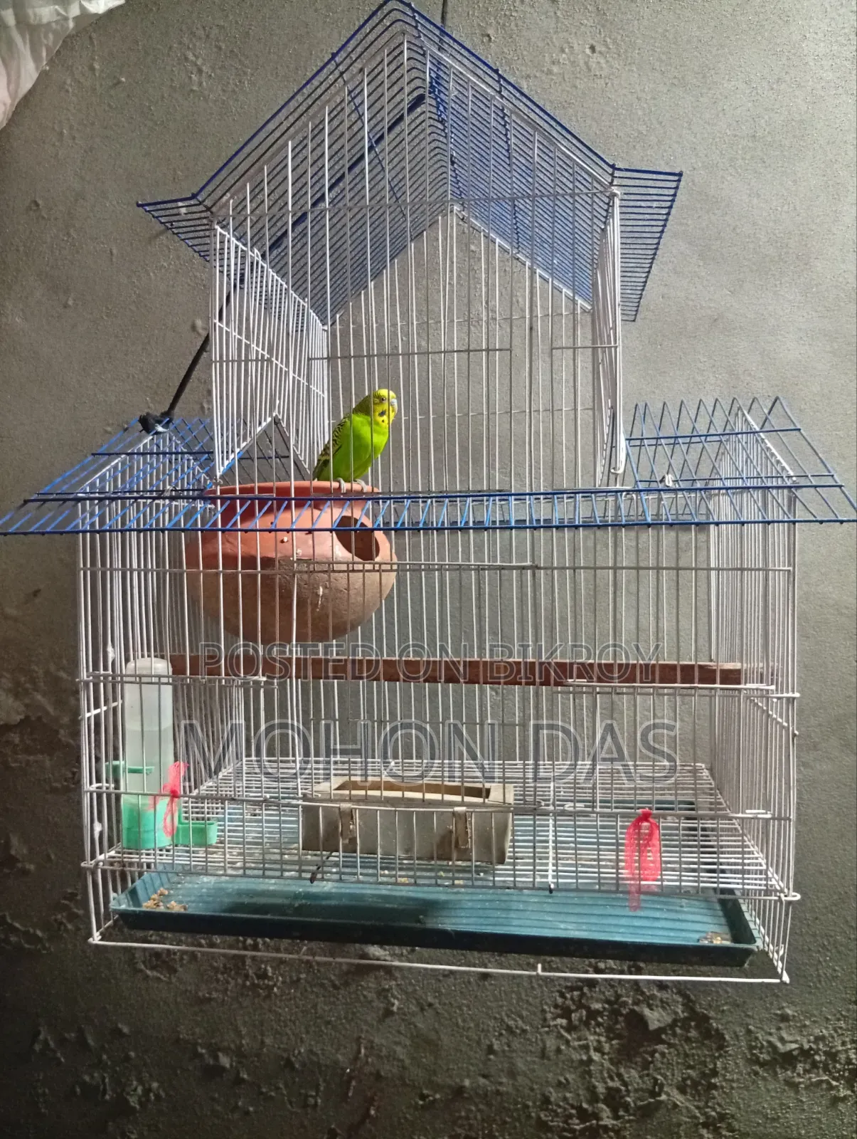বাজিগার মেল খাচা সহ