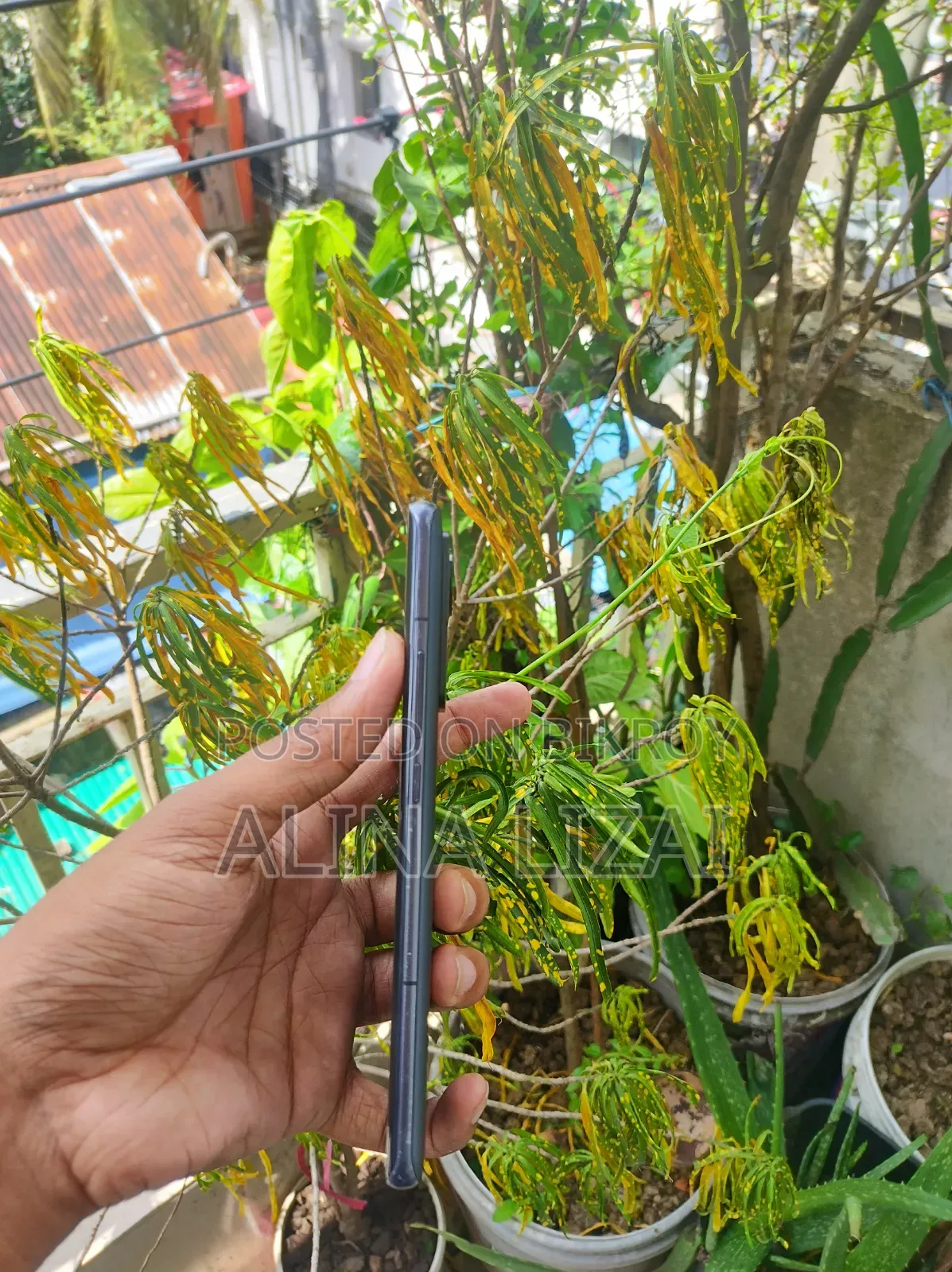 Xiaomi 12 Pro ২৫৬ জিবি সিলভার