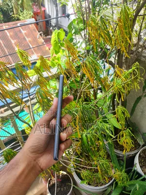 Xiaomi 12 Pro ২৫৬ জিবি সিলভার