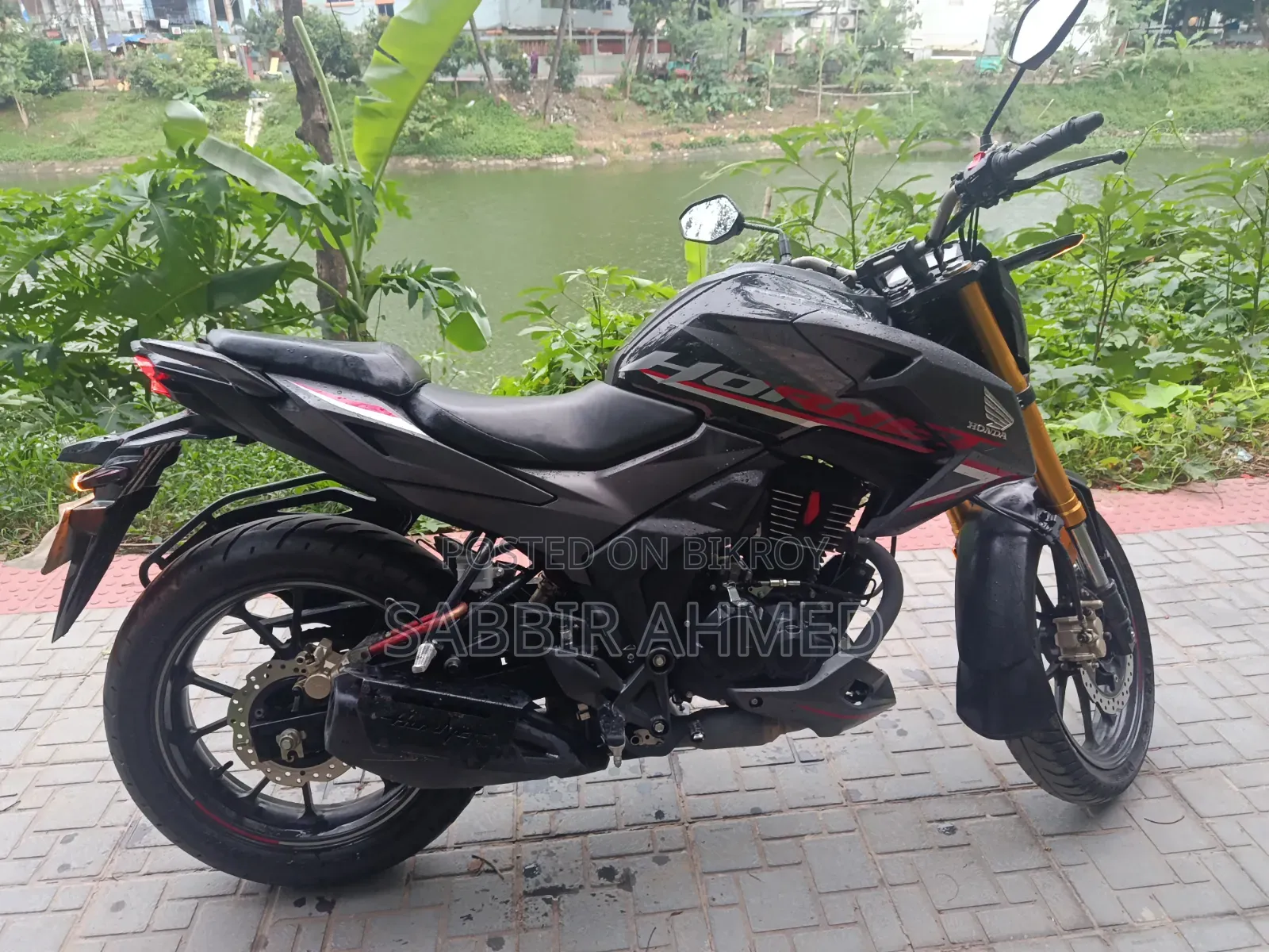 New Honda Hornet 2025 Gray