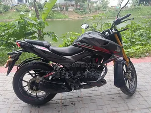 New Honda Hornet 2025 Gray