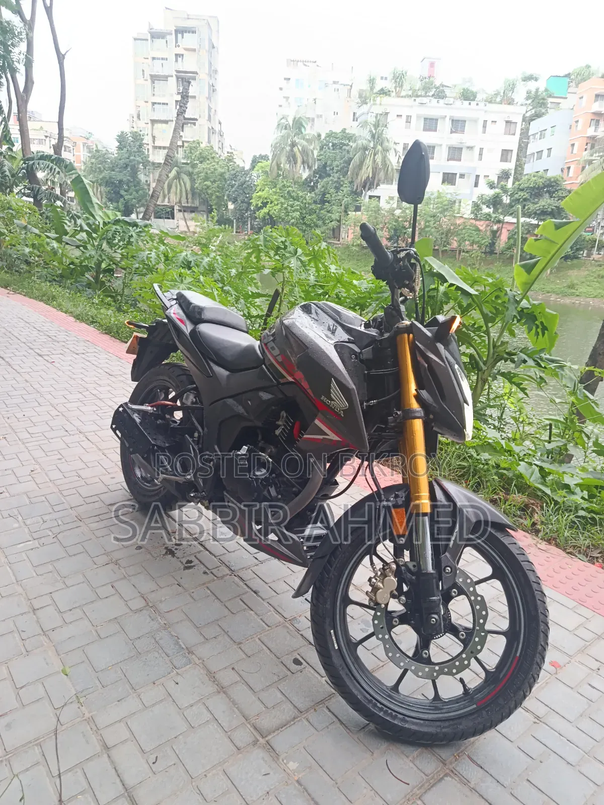 New Honda Hornet 2025 Gray