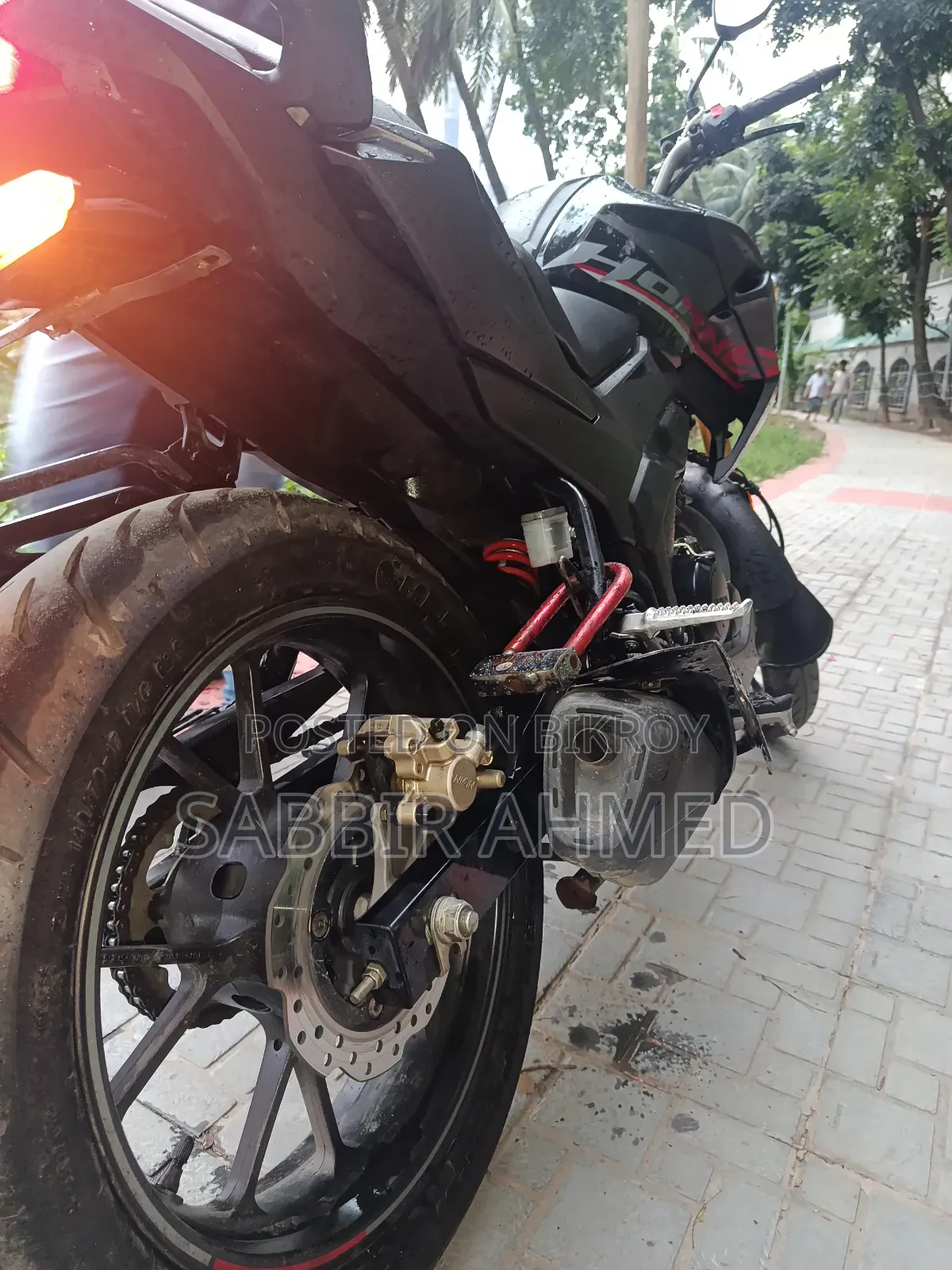 New Honda Hornet 2025 Gray