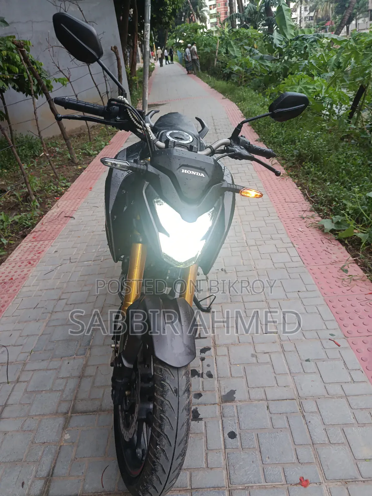 New Honda Hornet 2025 Gray