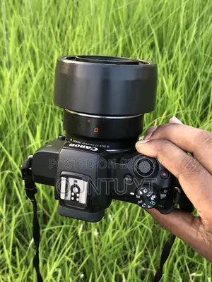 Canon M50 (Mirrorless)