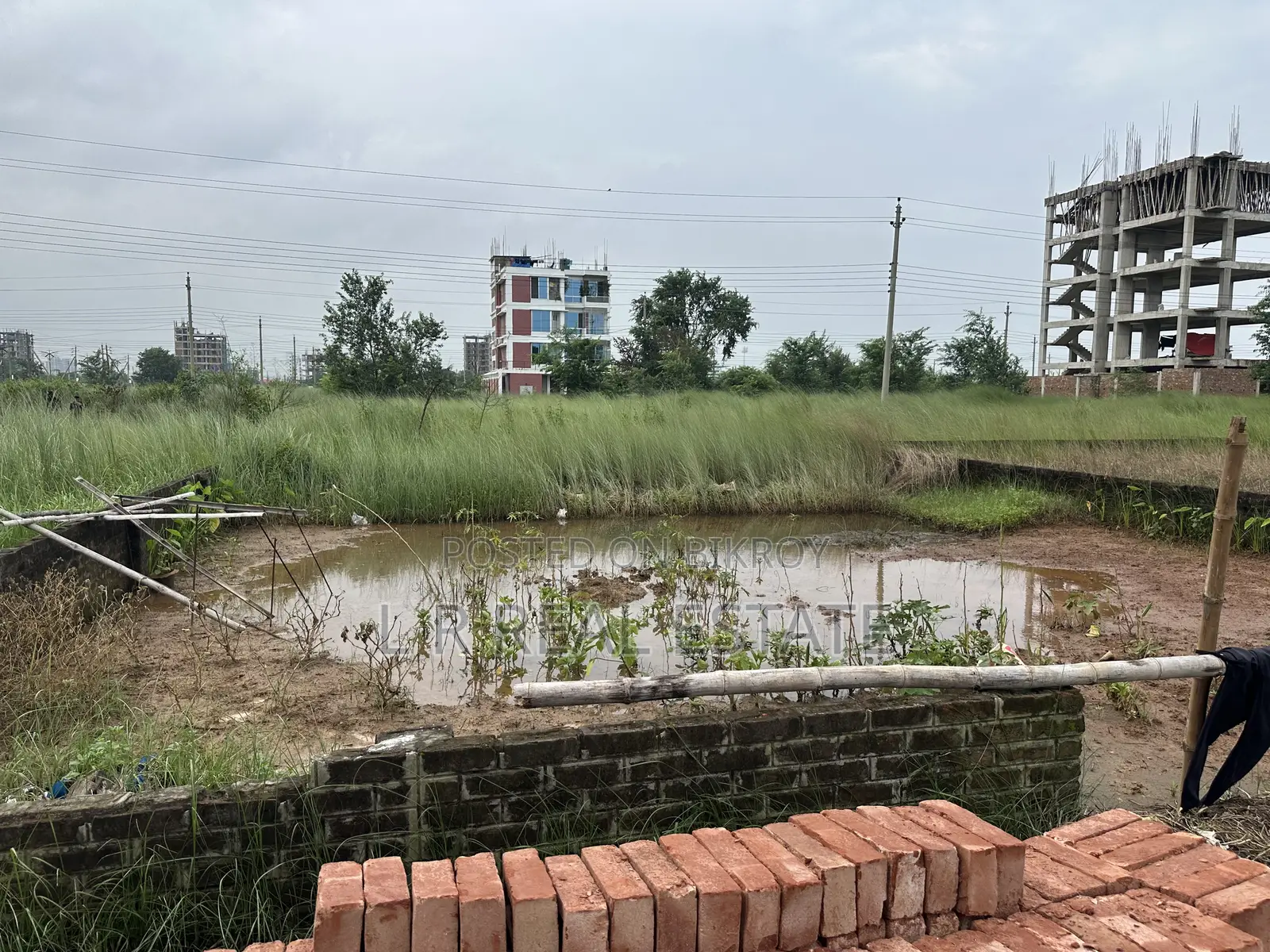 ব্লক-এন, ৩ কাঠা, পূর্বমুখী প্লট জরুরি বিক্রয়, বসুন্ধরা