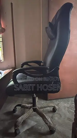 Ergonomic Office Chair