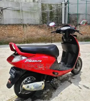 হিরো প্লেজার ২০১৩ লাল