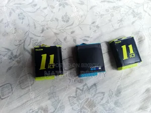 Gopro 10 (Full Fresh)