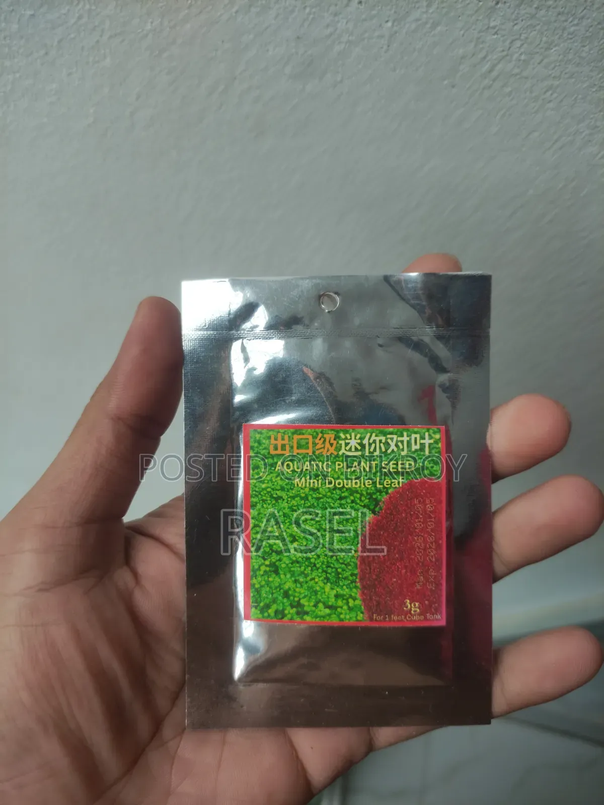 Aquarium Planted Seed