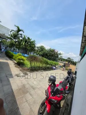 টার্কি মুরগি